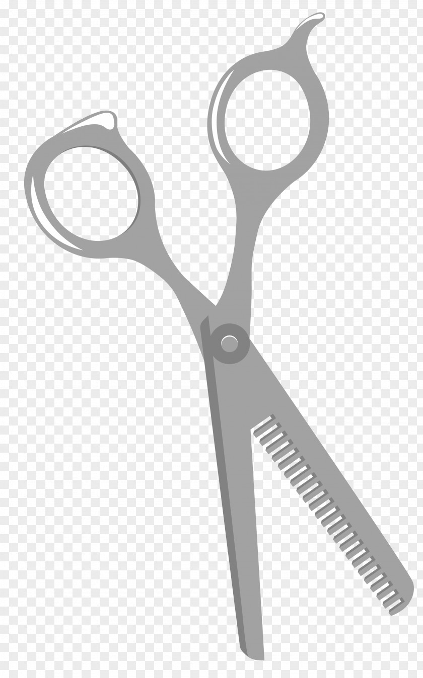 Vector Scissors Euclidean PNG