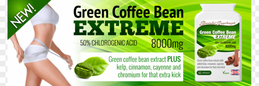 Green Coffee Bean Extract Tea Web Banner PNG