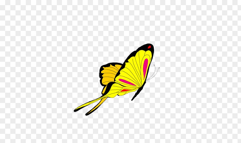 Butterfly Animation Clip Art PNG