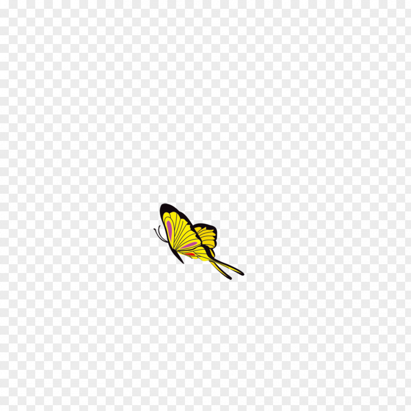 Butterfly Yellow Wing Insect Clip Art PNG
