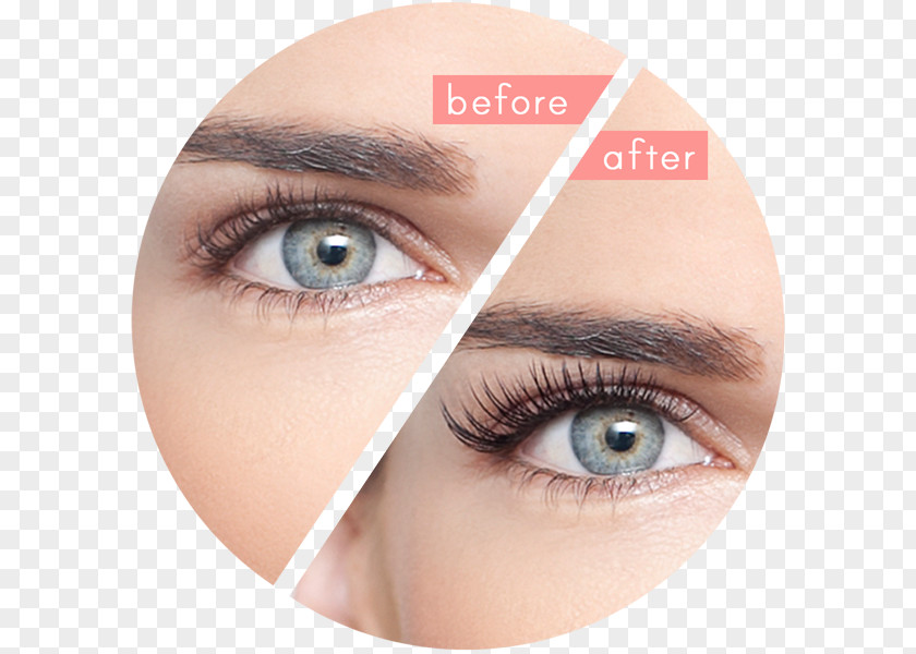 Eyelashes Eyelash Extensions Artificial Hair Integrations Beauty Parlour PNG