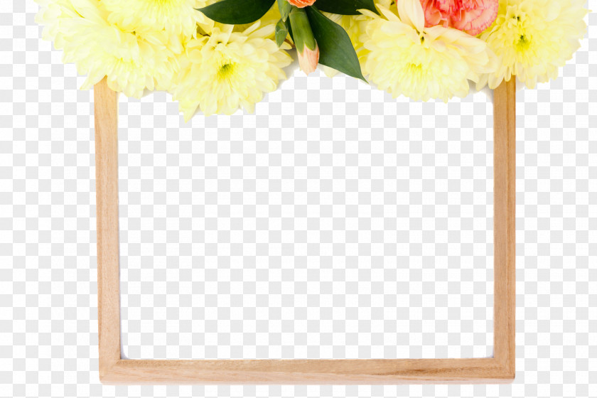 FLORAL FRAMES Cut Flowers Picture Frames Petal Floral Design PNG