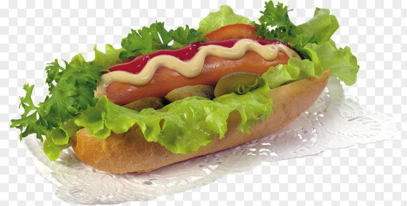 Hot Dog Sticker Fast Food Telegram PNG
