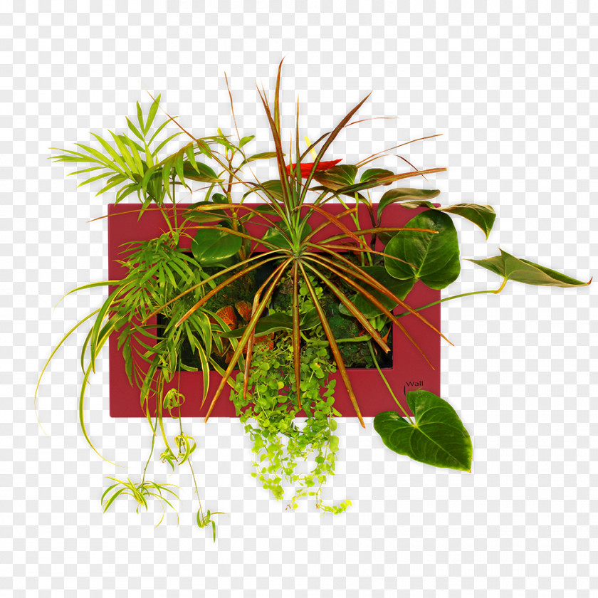 Leaf Flowerpot Houseplant Herb PNG