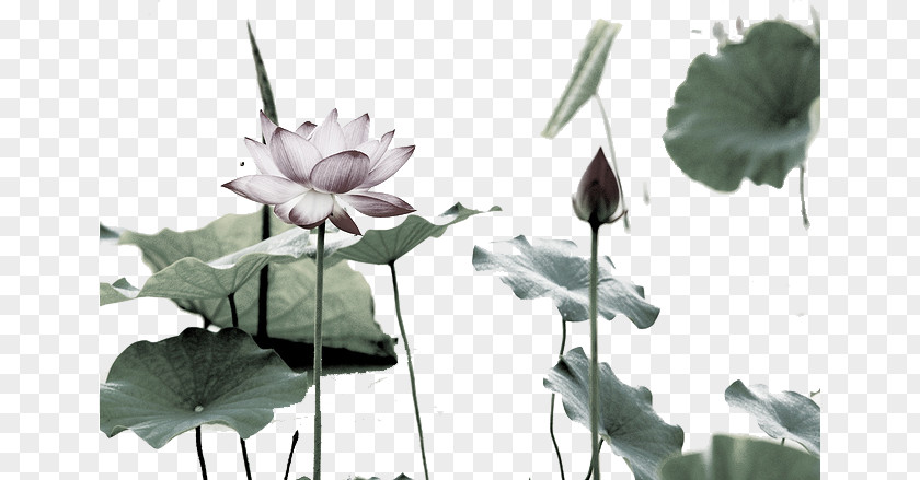 Lotus Gaoqiao Station Zhongtian Road Computer File PNG