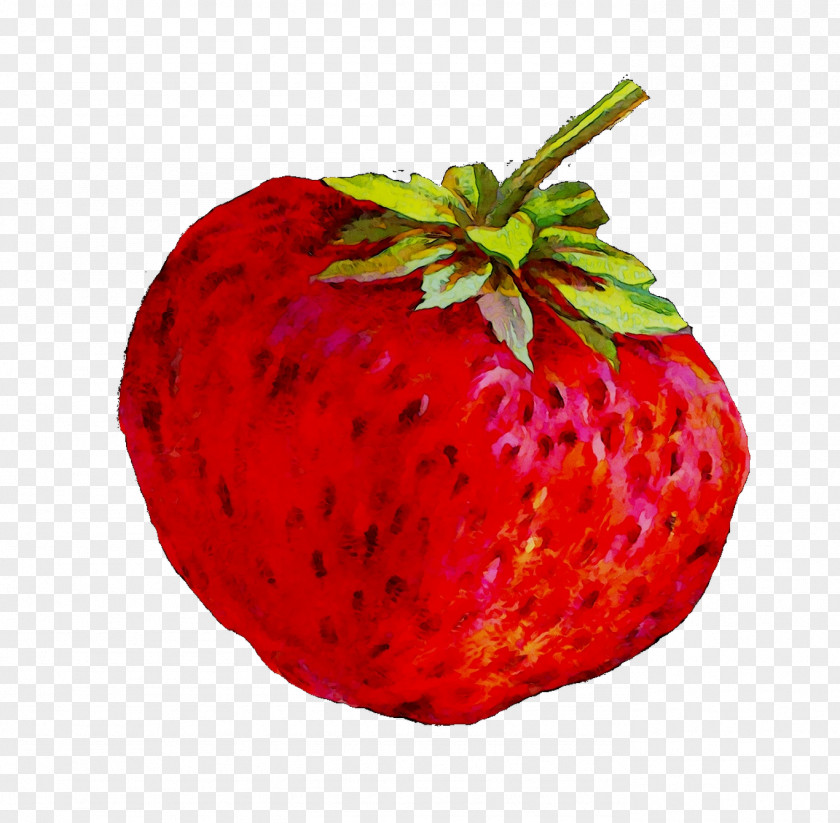 Strawberry Painting Image Photography Ackee PNG