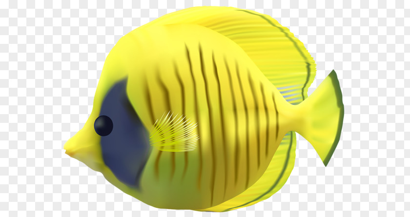 Underwather Fish Clip Art PNG