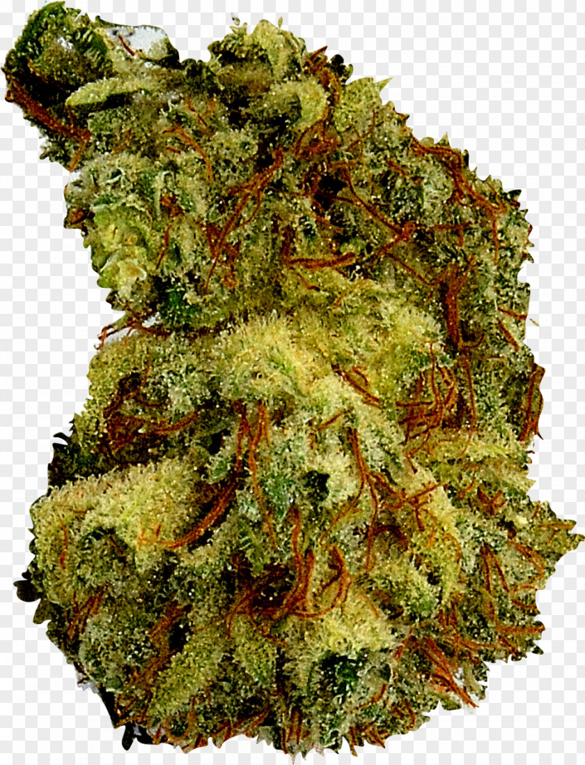 Cannabis Leaf Vegetable Hemp PNG