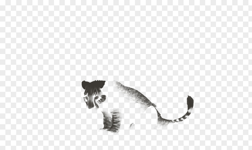 Kitten Whiskers Big Cat PNG