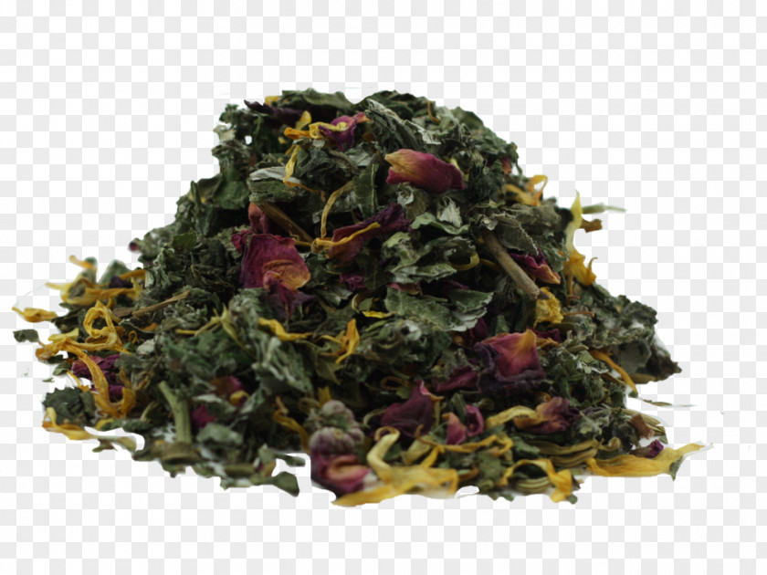 Tea Oolong Nilgiri Herbal Vegetarian Cuisine PNG