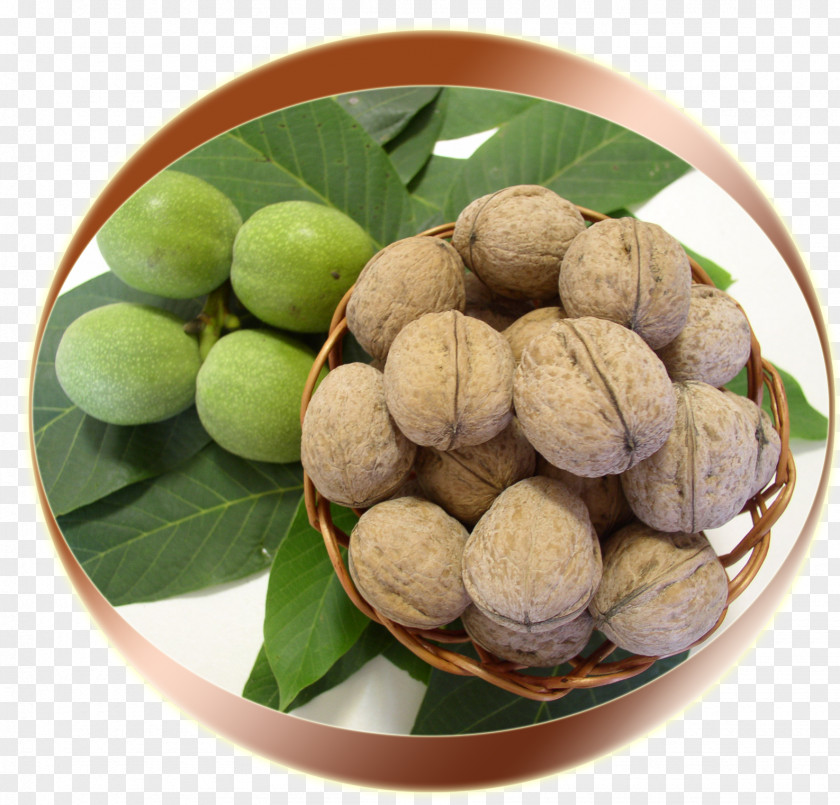 Walnut Macadamia Longan Superfood PNG