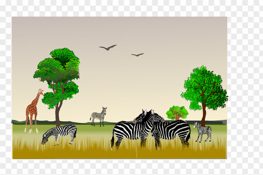 Africa Game Reserve Northern Giraffe Clip Art PNG