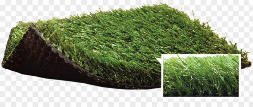 Artificial Turf Lawn Garden Thatch Carpet PNG
