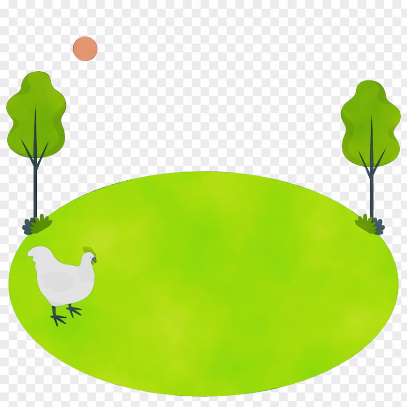 Birds Duck Water Bird Beak Leaf PNG