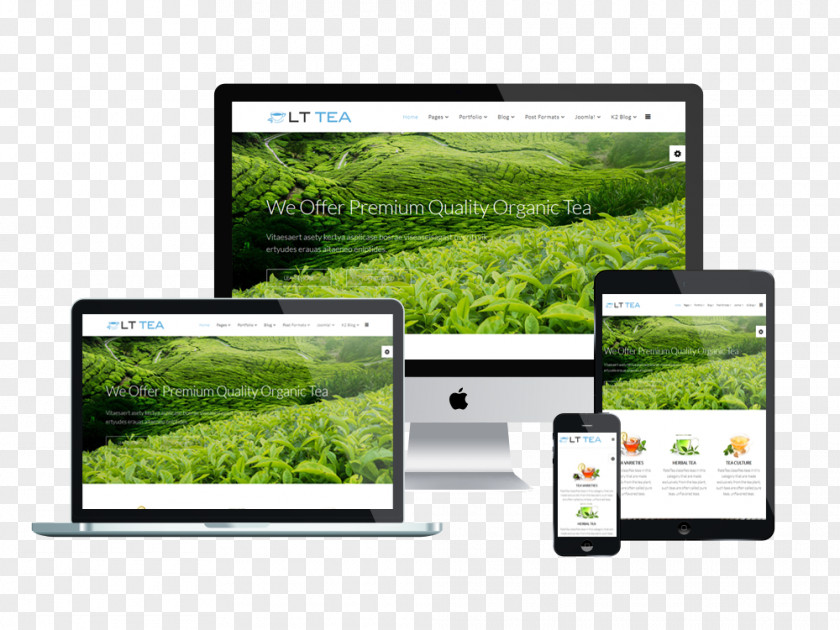 Business Theme Responsive Web Design Website Development WordPress Template System PNG