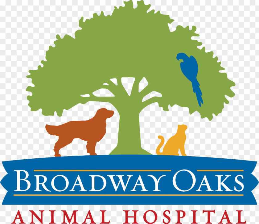 Hospital Pharmacist Broadway Oaks Animal Dog Veterinarian Pet Street PNG