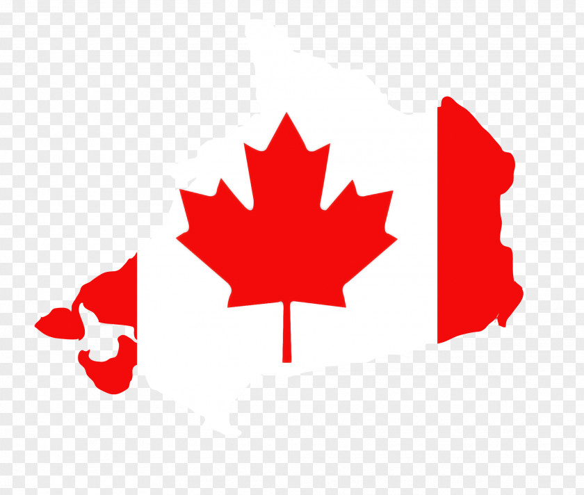 Maple Leaf PNG