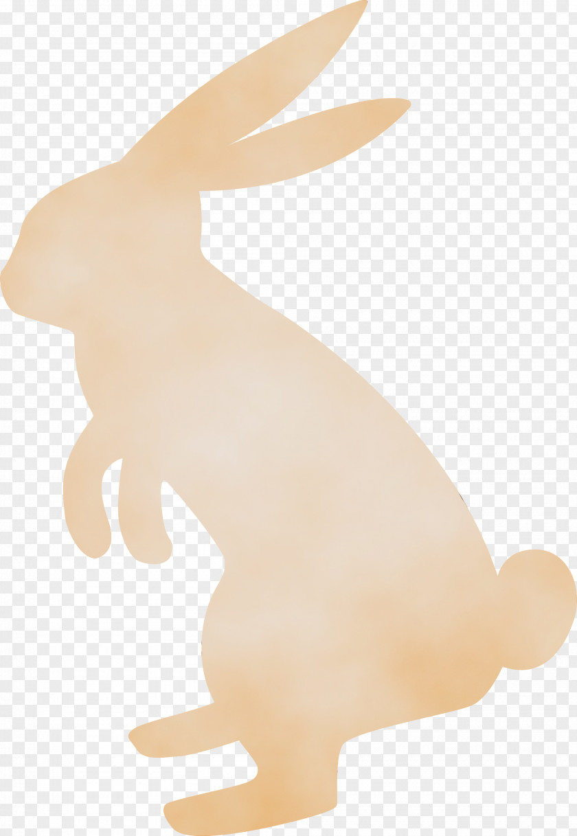 Rabbit Animal Figure Hare Rabbits And Hares Tail PNG
