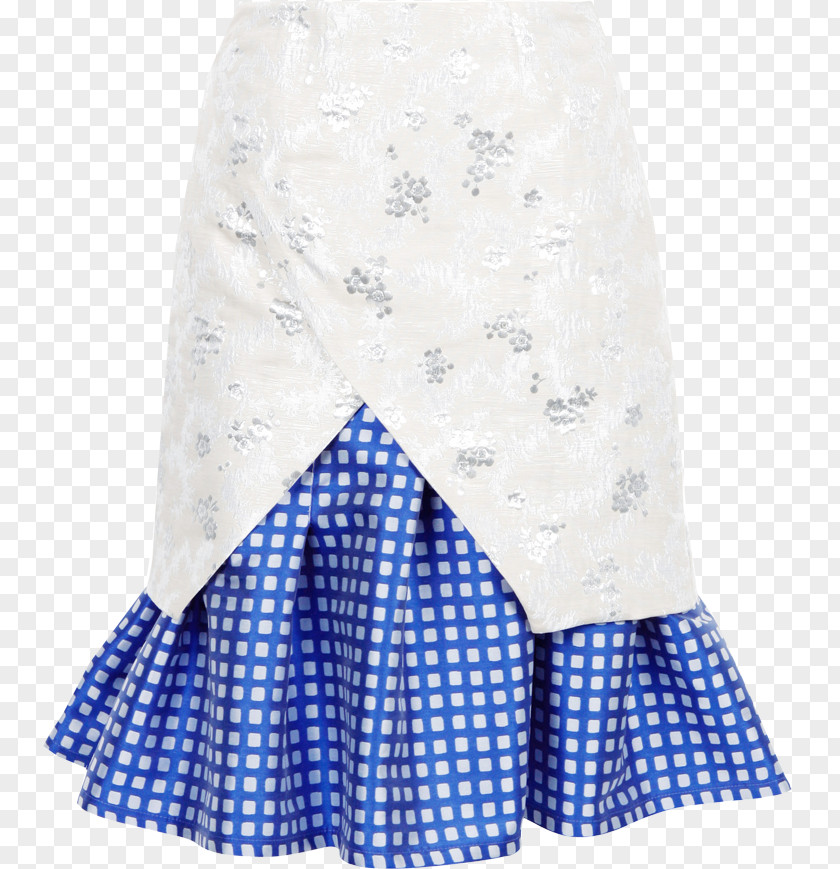 Underlay Panels Skirt Dress Clothing Pleat Fashion PNG