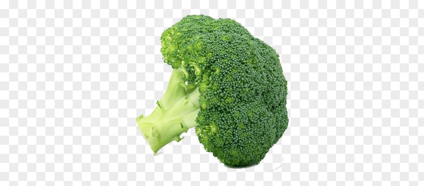 Vegetable Leaf Food Broccoli Winter PNG