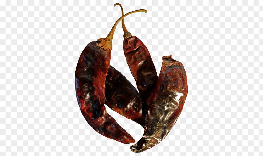 Chile Guajillo Pasilla Chili Pepper Cayenne Sujuk Paprika PNG