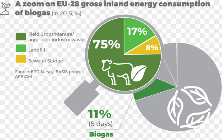 Energy European Union Bioenergy Biomass Association Renewable PNG