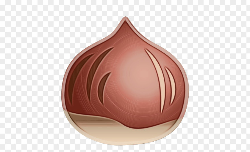 Onion Allium Cartoon PNG