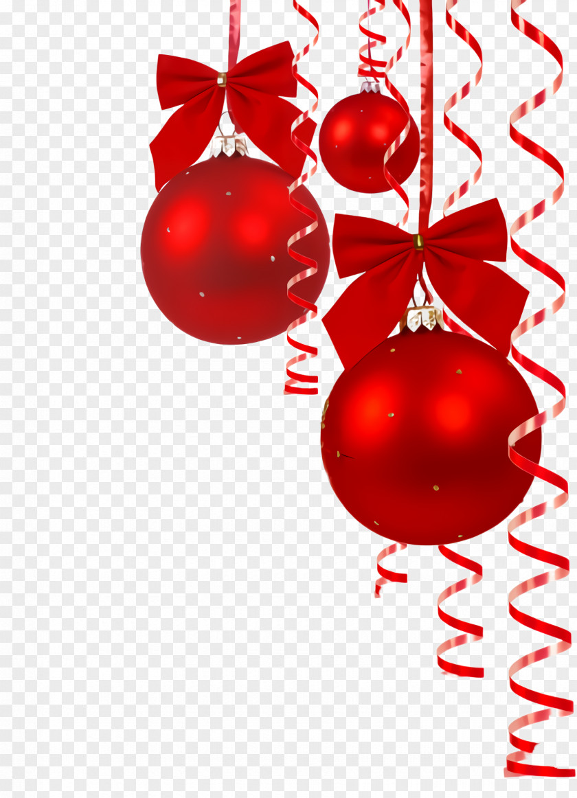 Plant Currant Christmas Ornament PNG