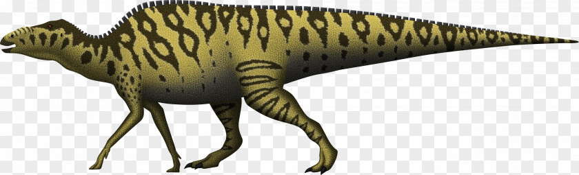 Traditional Shading Tyrannosaurus Shantungosaurus Tarbosaurus Maiasaura Edmontosaurus Annectens PNG