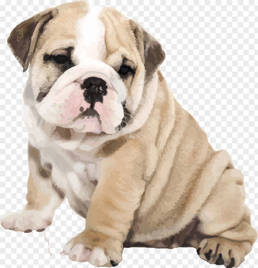 Vector Cute Pug Puppy Bulldog American Old English IPhone 6S PNG
