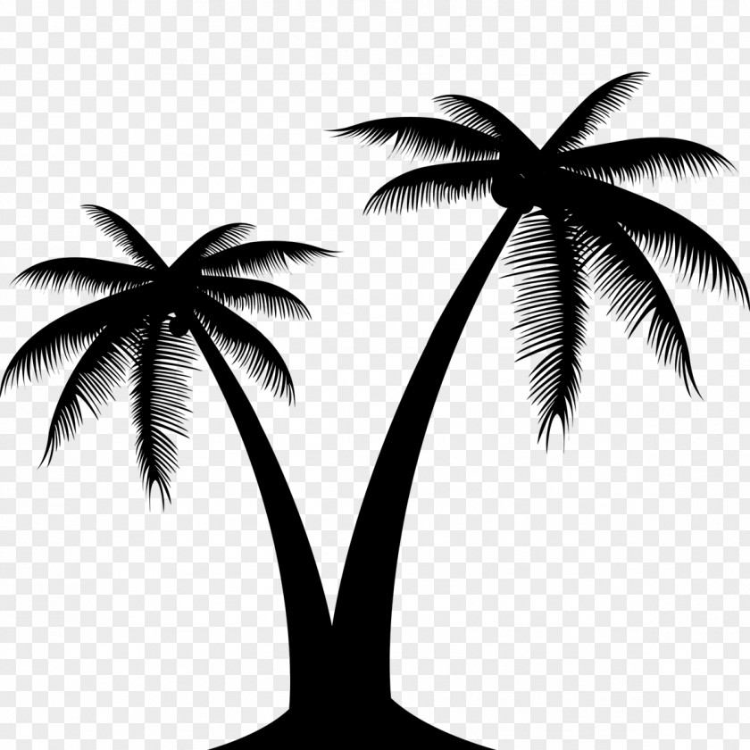 Vector Graphics Clip Art Palm Trees Image PNG