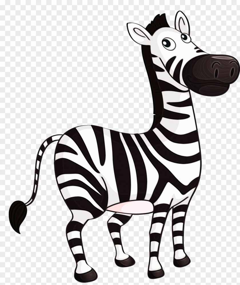 Zebra Animal Figure Cartoon Wildlife Snout PNG