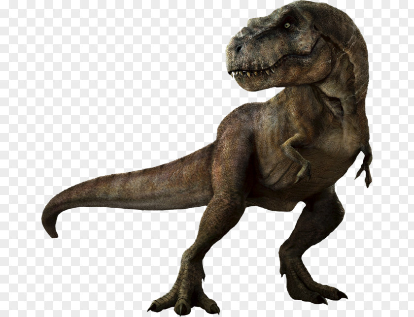 Dinosaur Velociraptor Tyrannosaurus Clip Art PNG