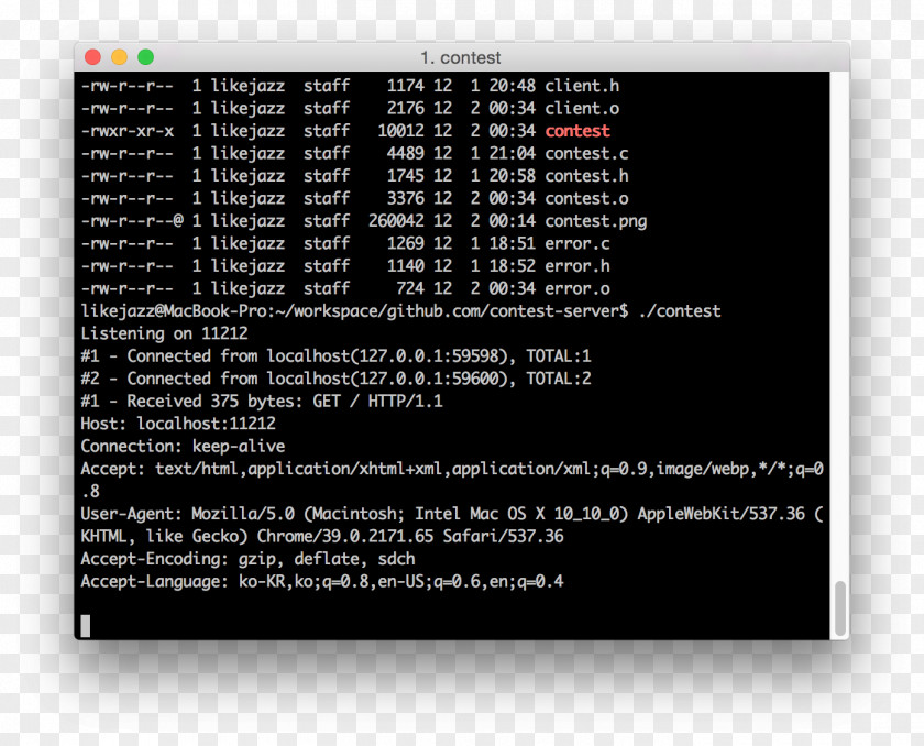 Linux ASCII MacOS Terminal Installation PNG