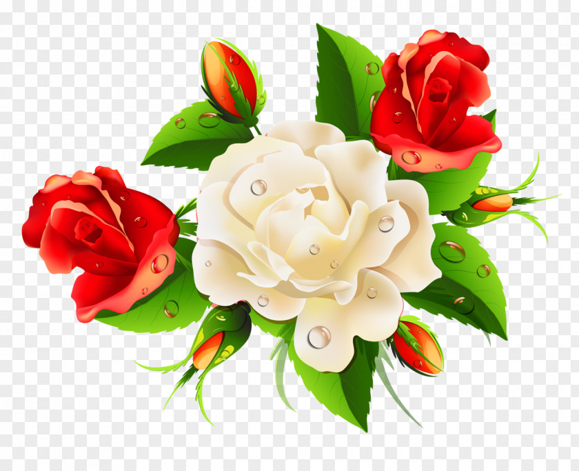 Women's Day International Wish Flower Greeting & Note Cards March 8 PNG