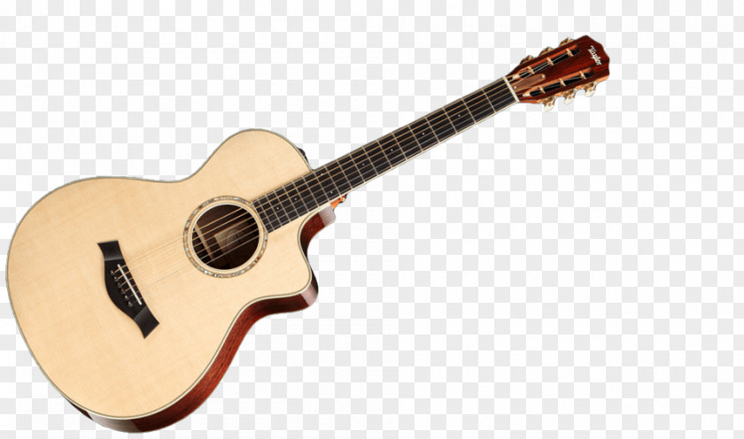 Acoustic Guitar Electric PNG