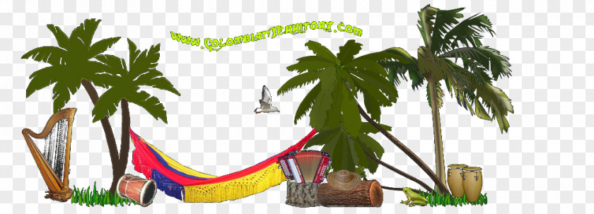 Costa Pacifica Colombiana Colombia Joke Download Video Humour PNG
