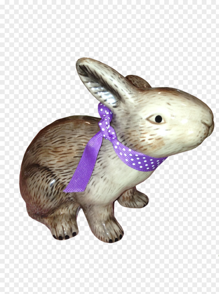 Rabbit Easter Bunny Hare Domestic Pet PNG
