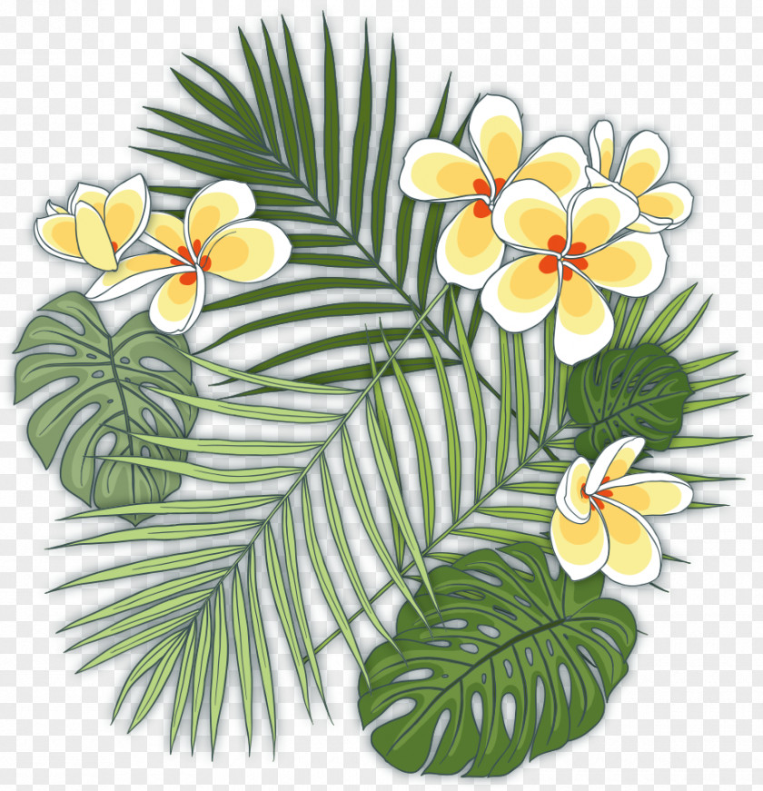 Tropical Plants Caryota Urens Howea Forsteriana Plant Tropics PNG