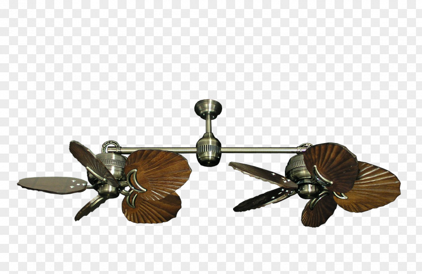 Fan Ceiling Fans Light Lighting PNG