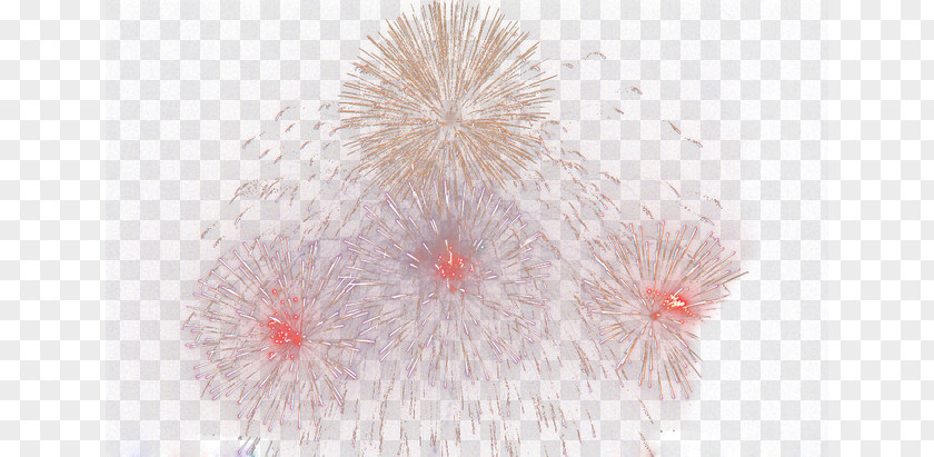 Fireworks Pink PNG