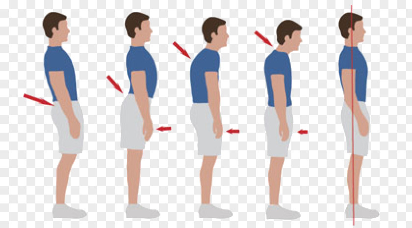 Posture Shoulder Human Back Fascia Pain In Spine PNG