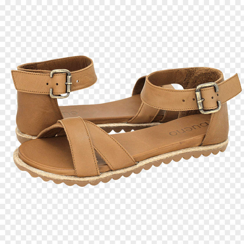 Sandal Slipper Shoe Flip-flops Clothing PNG