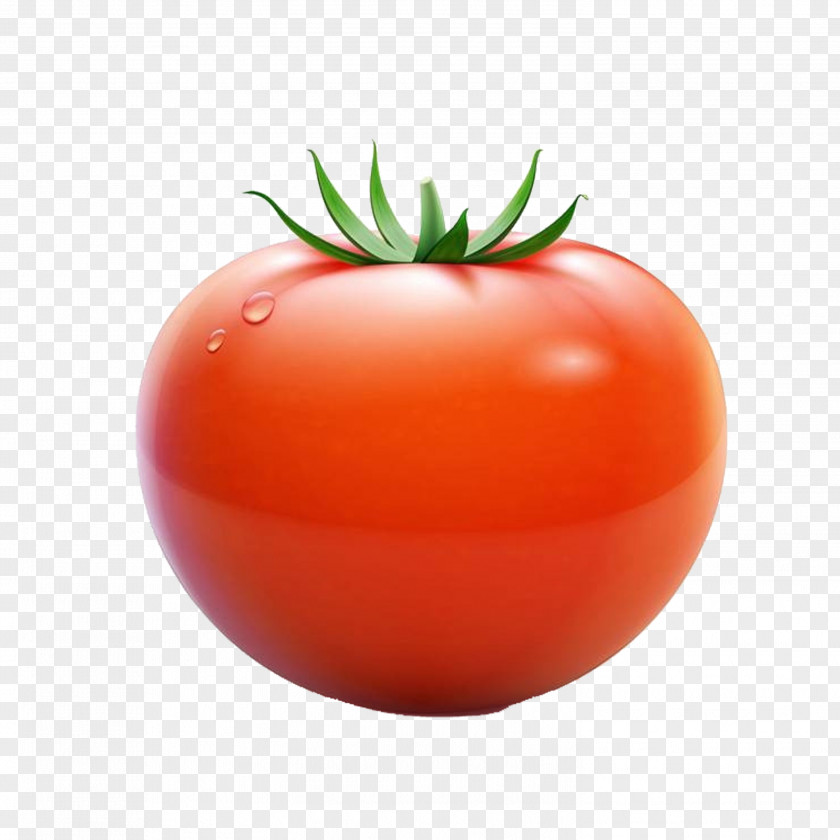 Tomato Plum Cherry Euclidean Vector PNG