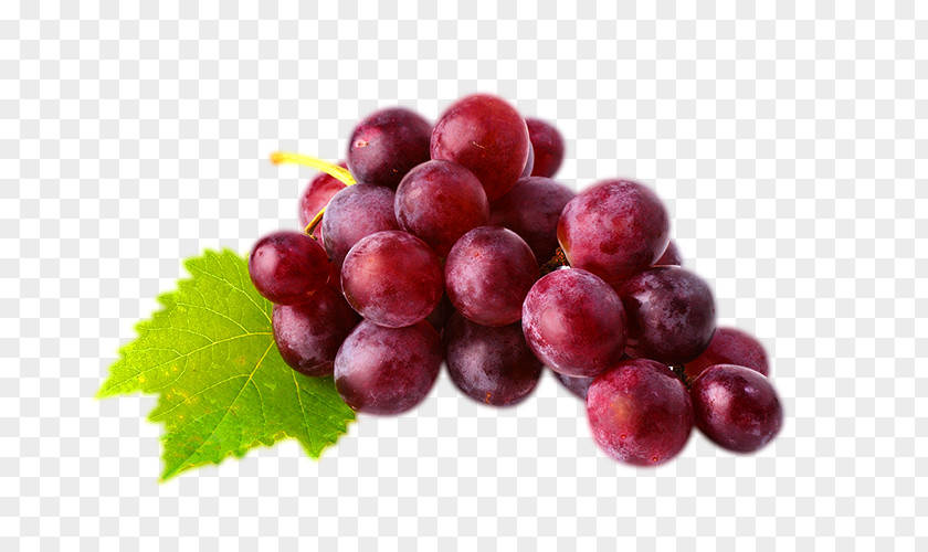 Grapes Red Wine Juice Common Grape Vine Globe PNG