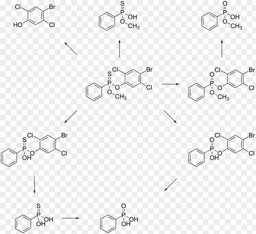 Metabolism Remixes Cinnamaldehyde Cinnamic Acid Anthocyanin Leptophos Pyrylium Salt PNG