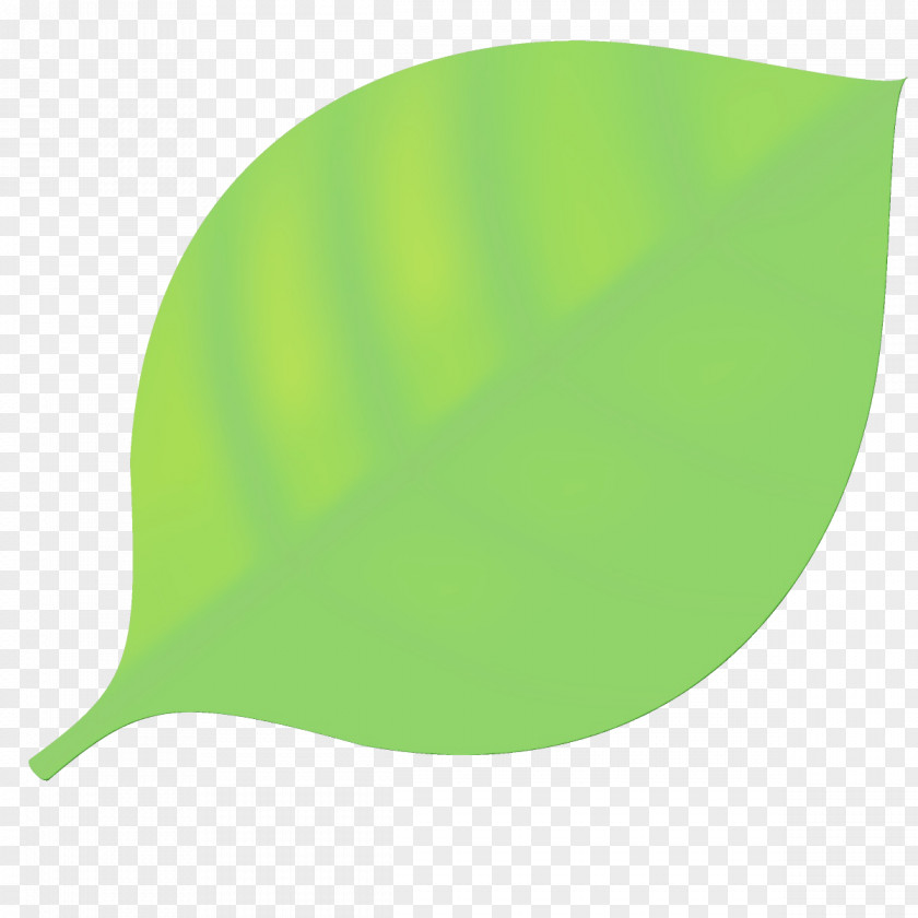 Plant Yellow Green Leaf PNG
