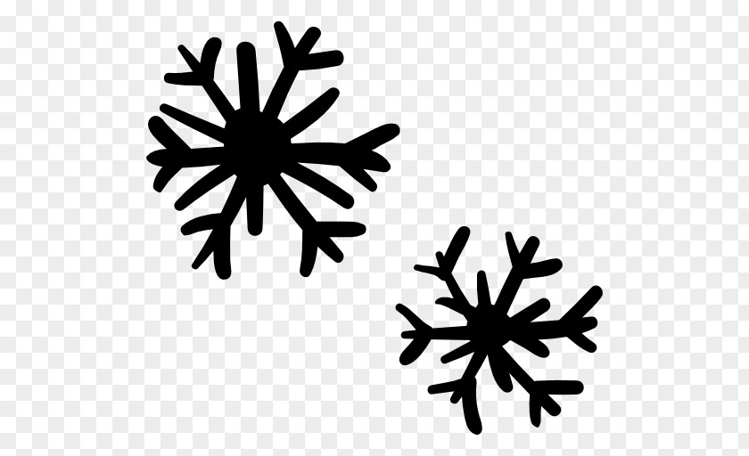 Snowflake Ice Crystals PNG