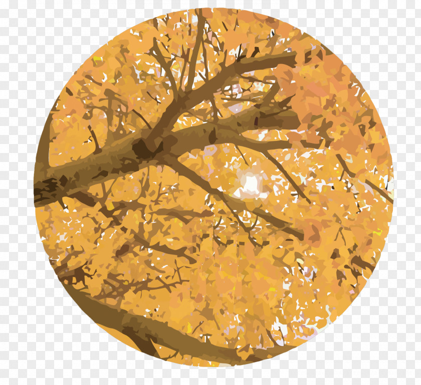 Vector Autumn Leaves Leaf Shading PNG