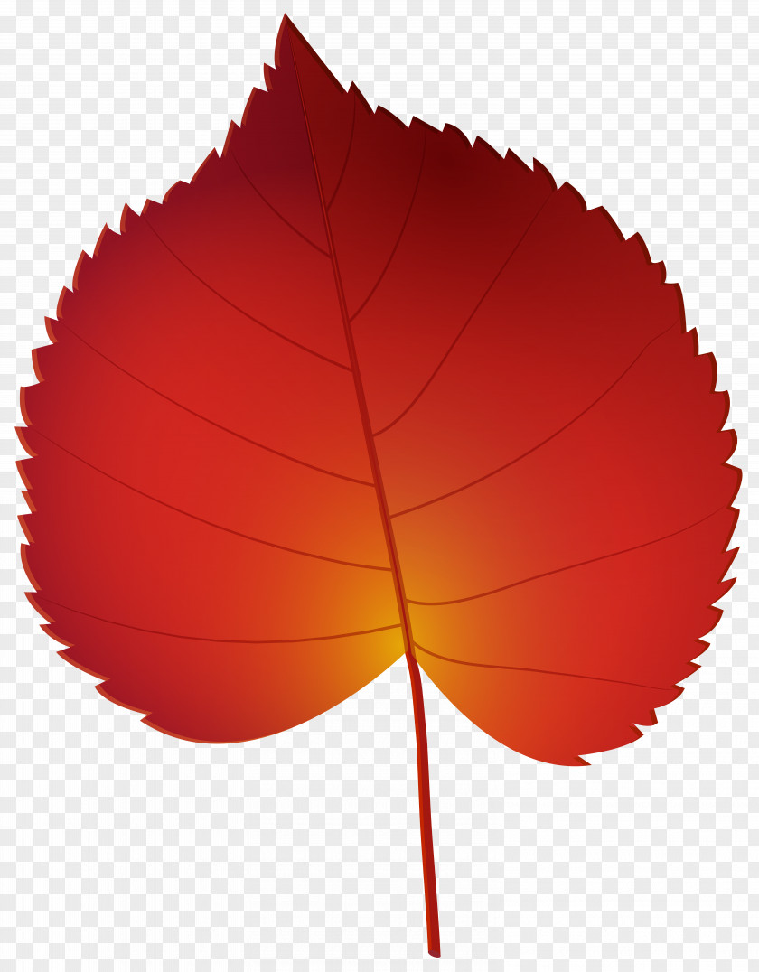 Art Autumn Leaf Color Clip PNG